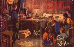 THE MYSTERY OF THE STRANGE BUNDLE